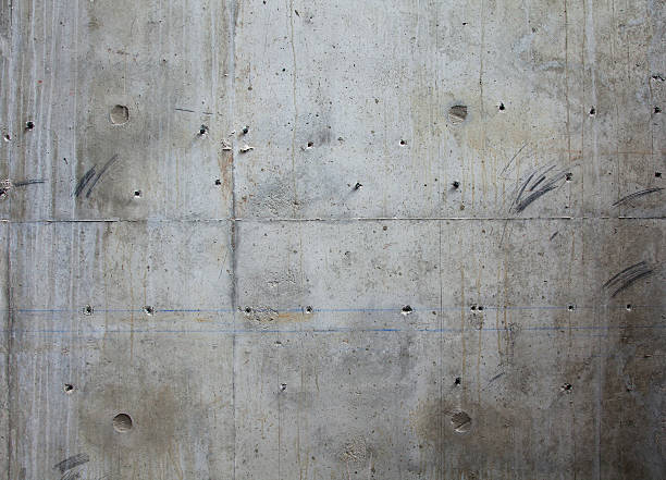 Best Affordable Concrete Contractor  in Winter Garden, FL